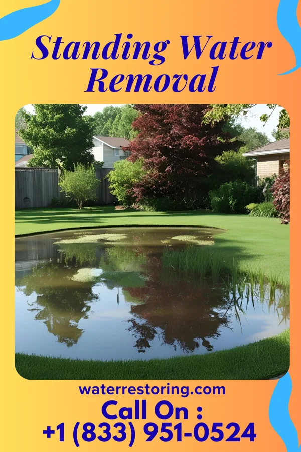 Standing Water Removal in Kannapolis, NC